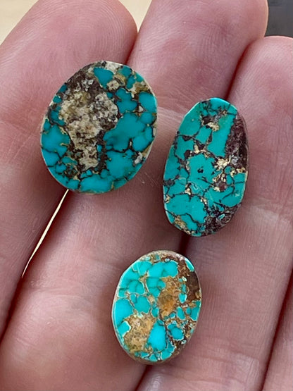 3 Amazing and Rare Green Persian Turquoise Stones – Neishabour Mine, Iran, Not-stabilized, Naural (#N66)