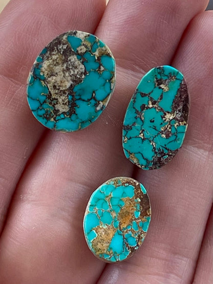3 Amazing and Rare Green Persian Turquoise Stones – Neishabour Mine, Iran, Not-stabilized, Naural (#N66)