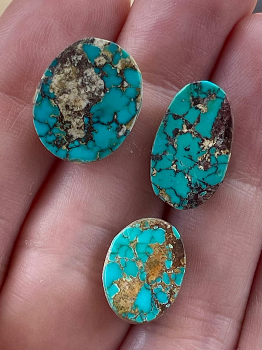 3 Amazing and Rare Green Persian Turquoise Stones – Neishabour Mine, Iran, Not-stabilized, Naural (#N66)