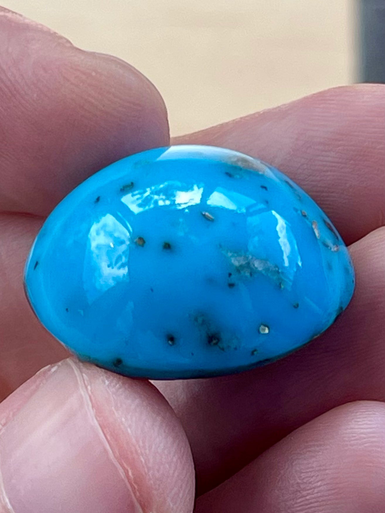 ✨ A Stunning Iranian Turquoise Cabochons – With Golden Pyrite Kerman Mine - Iran ✨ (#K49)