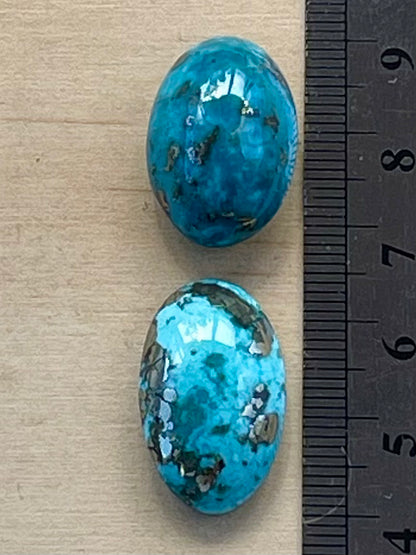 2 Beautiful & Large Turquoise Cabochons with Golden Pyrite Crystals from Kerman Mine, Iran. (#K52)