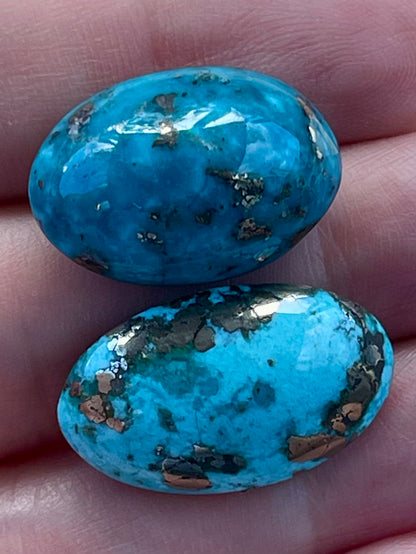 2 Beautiful & Large Turquoise Cabochons with Golden Pyrite Crystals from Kerman Mine, Iran. (#K52)