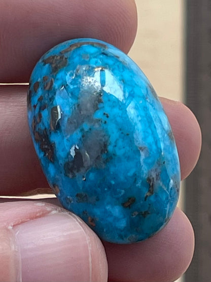 ✨ A Lovely Iranian Turquoise Cabochon – With Golden Pyrite Kerman Mine - Iran ✨ (#K54)