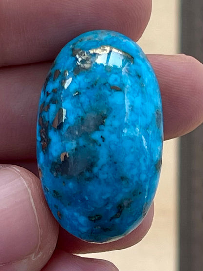 ✨ A Lovely Iranian Turquoise Cabochon – With Golden Pyrite Kerman Mine - Iran ✨ (#K54)