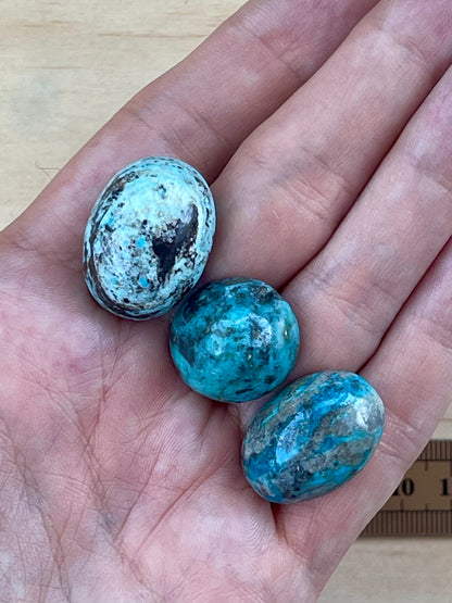 Three 3 Turquoise Cabochon Loose Stones from Kerman Mine, Iran. With Pyrite Crystals. #K7