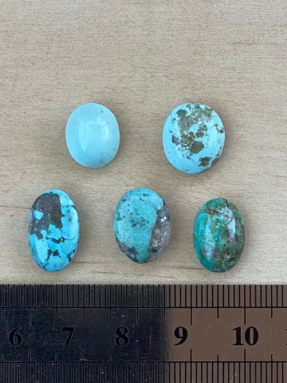 Five 5 Light Blue and Green Turquoise Cabochon Stones from Kerman Mine, Iran.  #K13