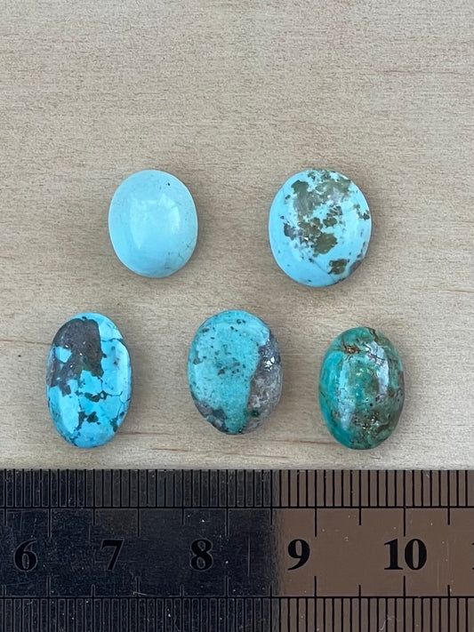Five 5 Light Blue and Green Turquoise Cabochon Stones from Kerman Mine, Iran.  #K13