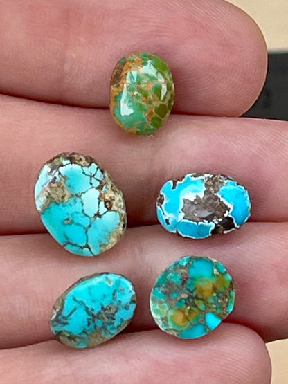 5 Amazing Natural Persian Turquoise Loose Stones – Neishabour Mine, Not-stabilized (#N21)