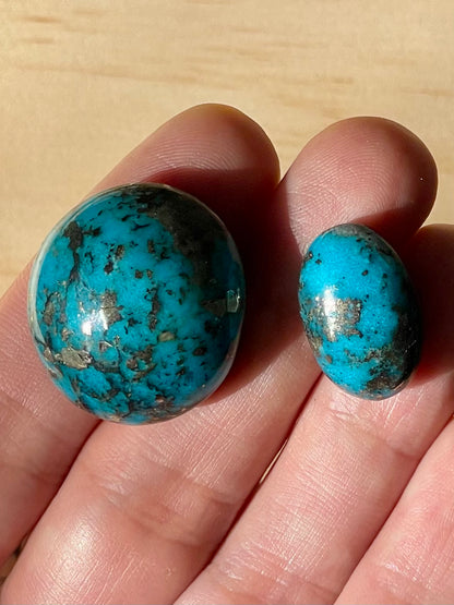 2 Stunning Turquoise Stones from Kerman Mine, Iran. With Golden Pyrite (#K19)
