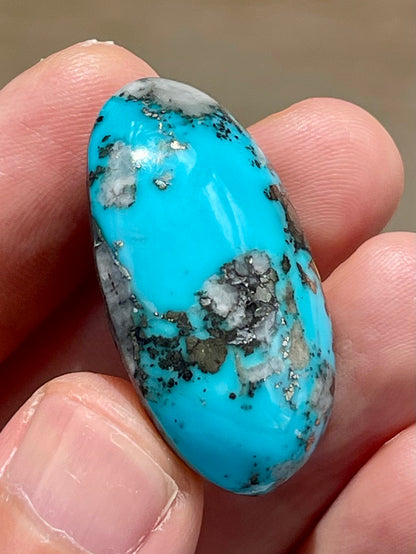 A Stunning Turquoise Cabochon Stones from Kerman Mine, Iran. With Golden Pyrite (#K29)