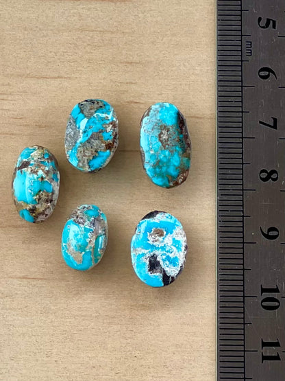 ✨ Natural Persian Turquoise – Rare Set of Five (Neishabour Mine) ✨(#N36)