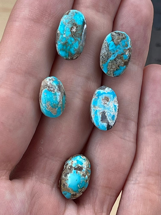 ✨ Natural Persian Turquoise – Rare Set of Five (Neishabour Mine) ✨(#N36)