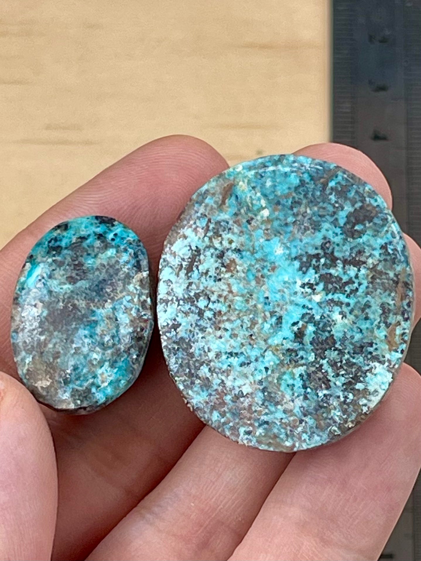 ✨ Very Large Natural Persian Turquoise – Set of Two (Neishabour Mine) ✨ (#N40)