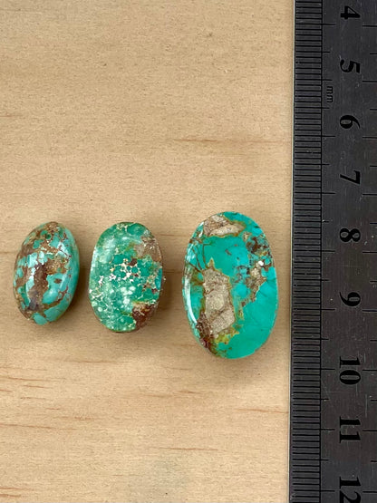 3 Lovely Green Persian Turquoise Stones – Neishabour Mine, Iran, Not-stabilized, Naural (#N46)