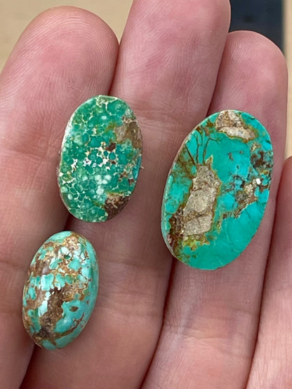 3 Lovely Green Persian Turquoise Stones – Neishabour Mine, Iran, Not-stabilized, Naural (#N46)