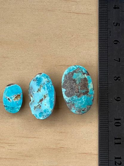 3 Lovely Green Persian Turquoise Stones – Neishabour Mine, Iran, Not-stabilized, Naural (#N47)