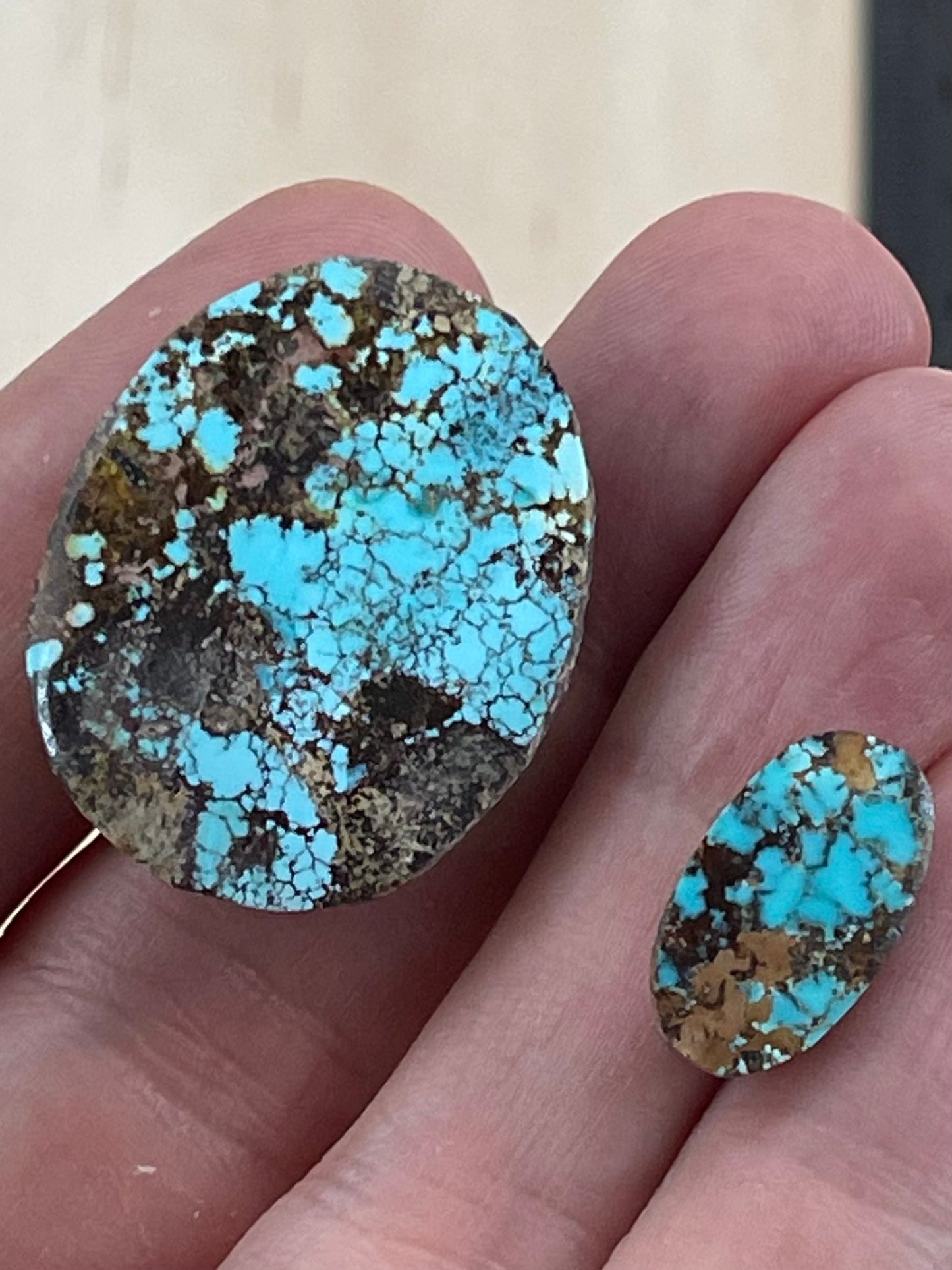 ✨ SPIDERWEB Natural Persian Turquoise✨ Loose Stones – Neishabour Mine, Not-stabilized (#N54)