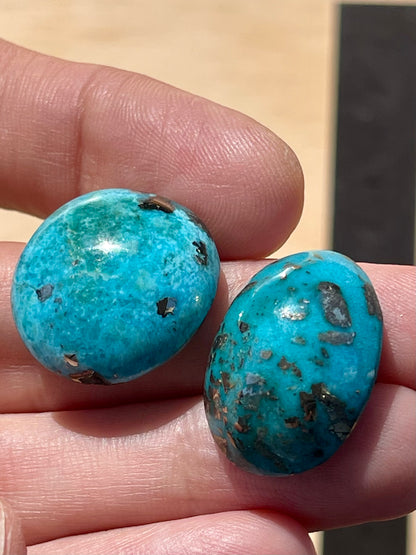 Two Lovely Turquoise Cabochons with Golden Pyrite Crystals from Kerman Mine, Iran. (#K33)