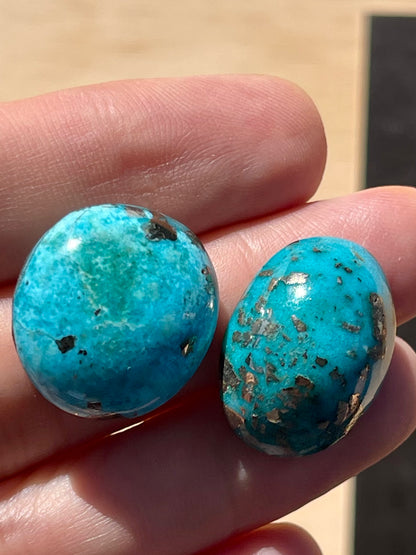 Two Lovely Turquoise Cabochons with Golden Pyrite Crystals from Kerman Mine, Iran. (#K33)