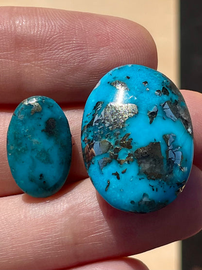 Two Absolutely Amazing Turquoise Stones with Golden Pyrite Crystals from Kerman Mine, Iran. (#K34)